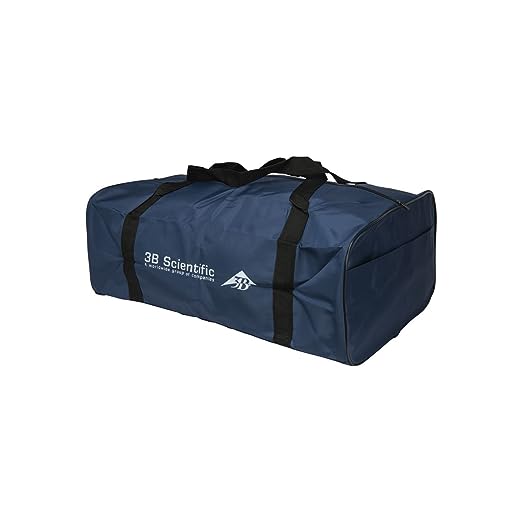 3B Scientific 1017772 CPR Lilly Simulator, Light Skin