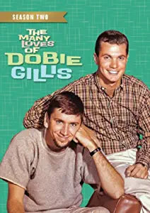 The Many Loves Of Dobie Gillis: Season 2 DVD