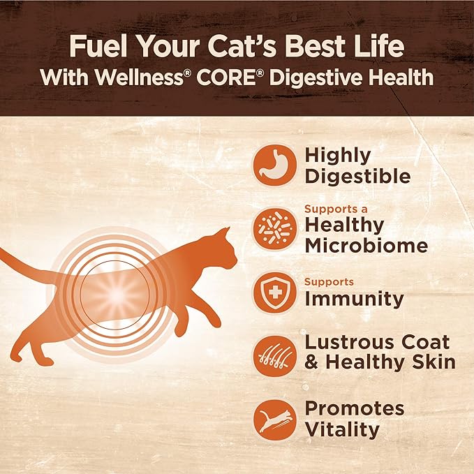Wellnes CORE Digestive Health Grain-Free Natural Wet Cat Food, Sensitive Stomach, Easily Digestible (Whitefish Pate, 3 Ounce Can, 12 Pack)