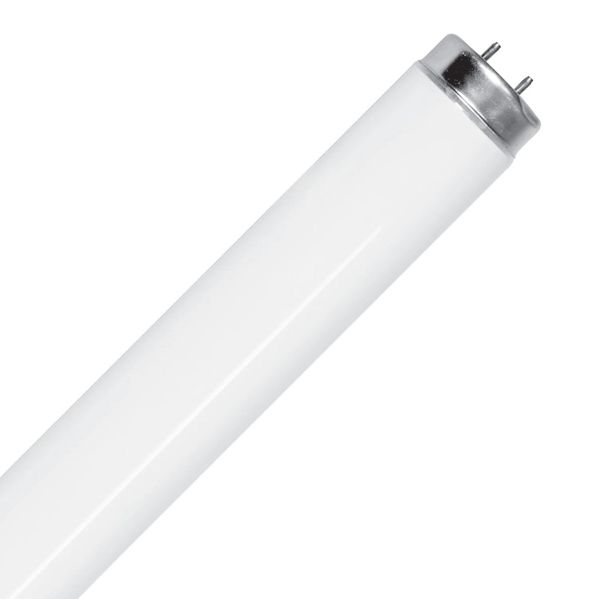 Feit Electric T8 Warm White 48 in. G13 Linear LED Bulb 32 Watt Equivalence 2 pk