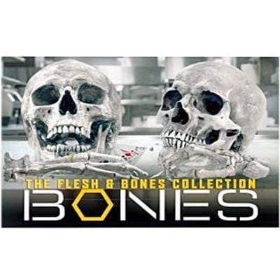 Bones DVD Set Complete Series Box Set