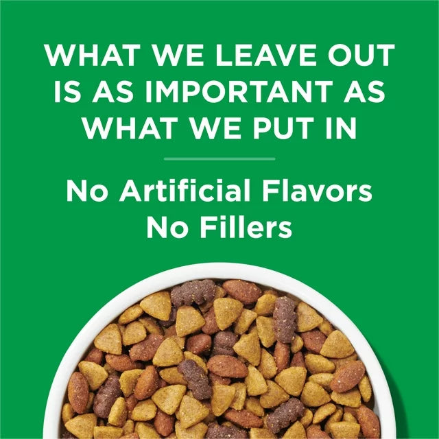 Purina Dog Chow Complete Adult Dry Dog Food Kibble With Chicken Flavor, 16 oz. Box