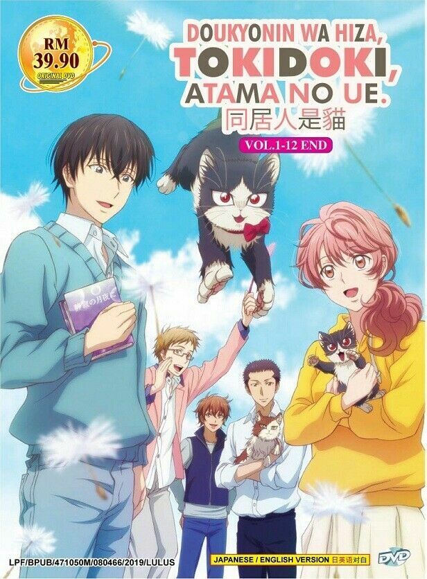 My Roommate is a Cat DVD (Vol.1-12 end) with English Dubbed DVD