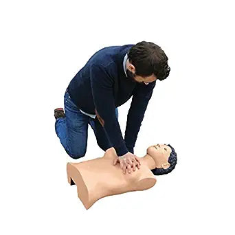 3B Scientific 1017772 CPR Lilly Simulator, Light Skin